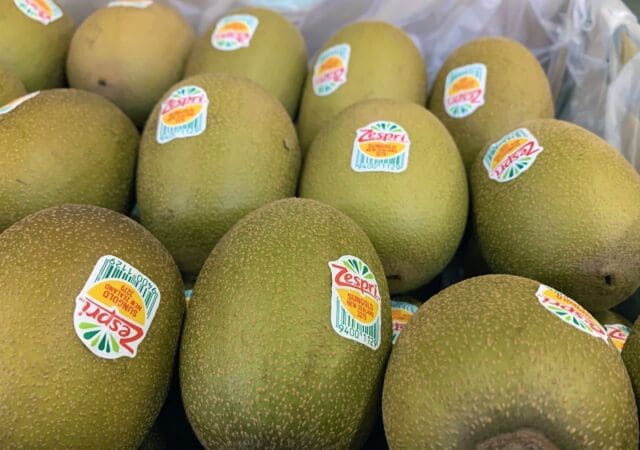 Compostable labels and credible claims: How Sinclair -T55 sets the standard in a scrutinized market 